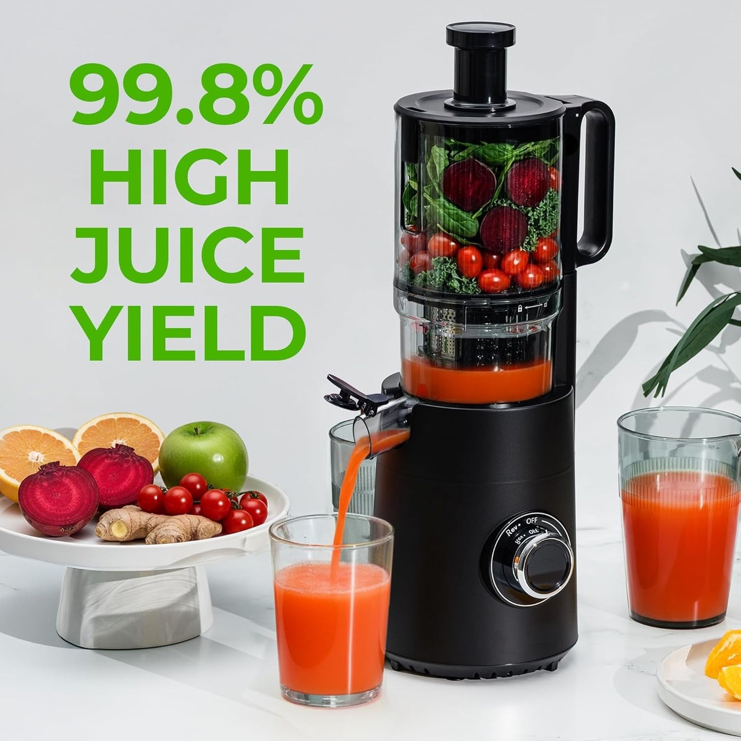 Kitchen Cold Press Juicer Machine